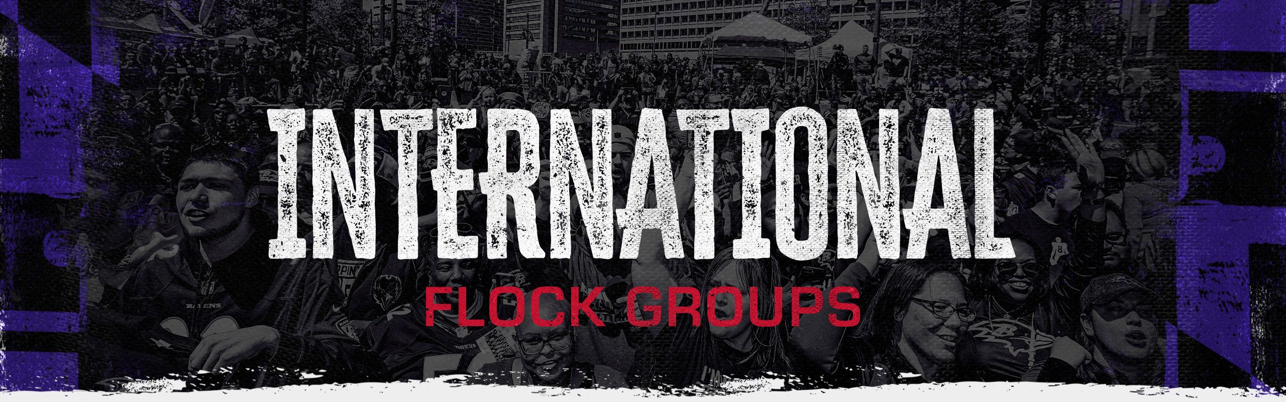 international-flock-groups-header