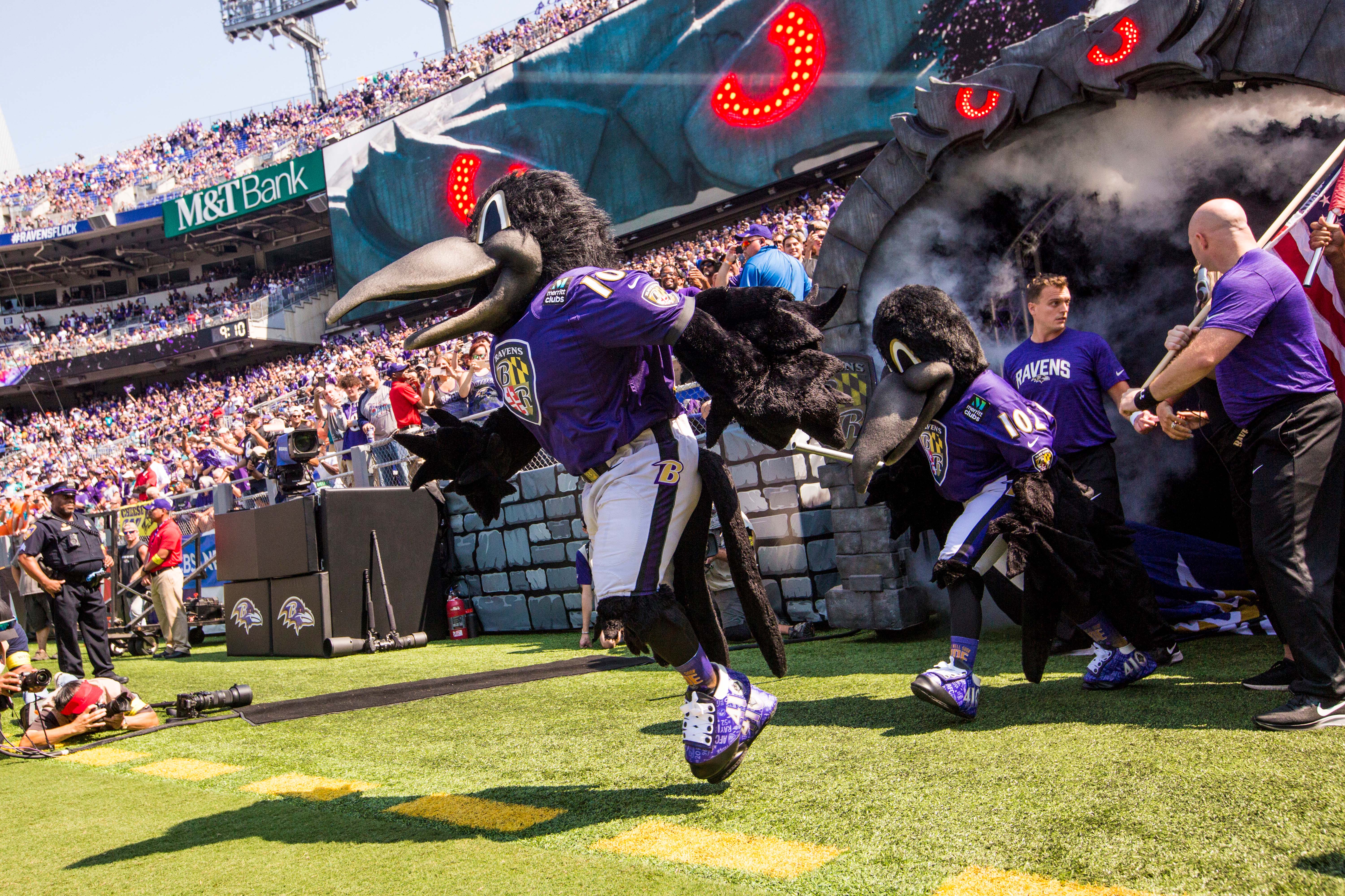 Ravens Mascots  Baltimore Ravens –