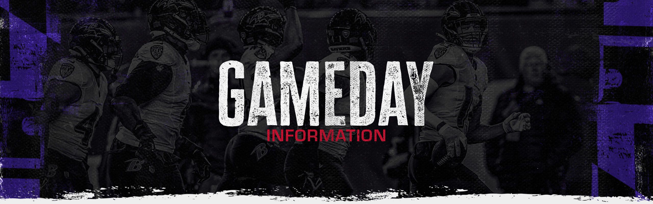 Web Headers - Misc__GameDay Information