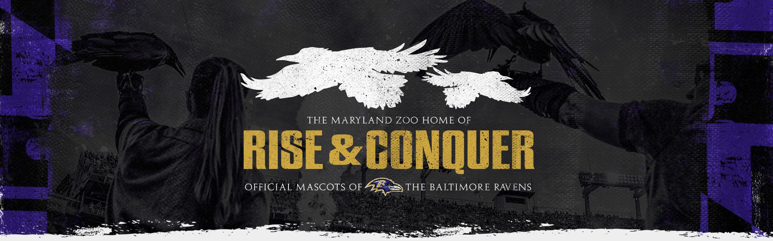 Ravens Rise and Conquer | Baltimore Ravens – baltimoreravens.com