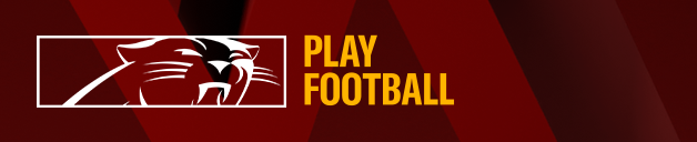 Image of the Carolina Panthers team logo