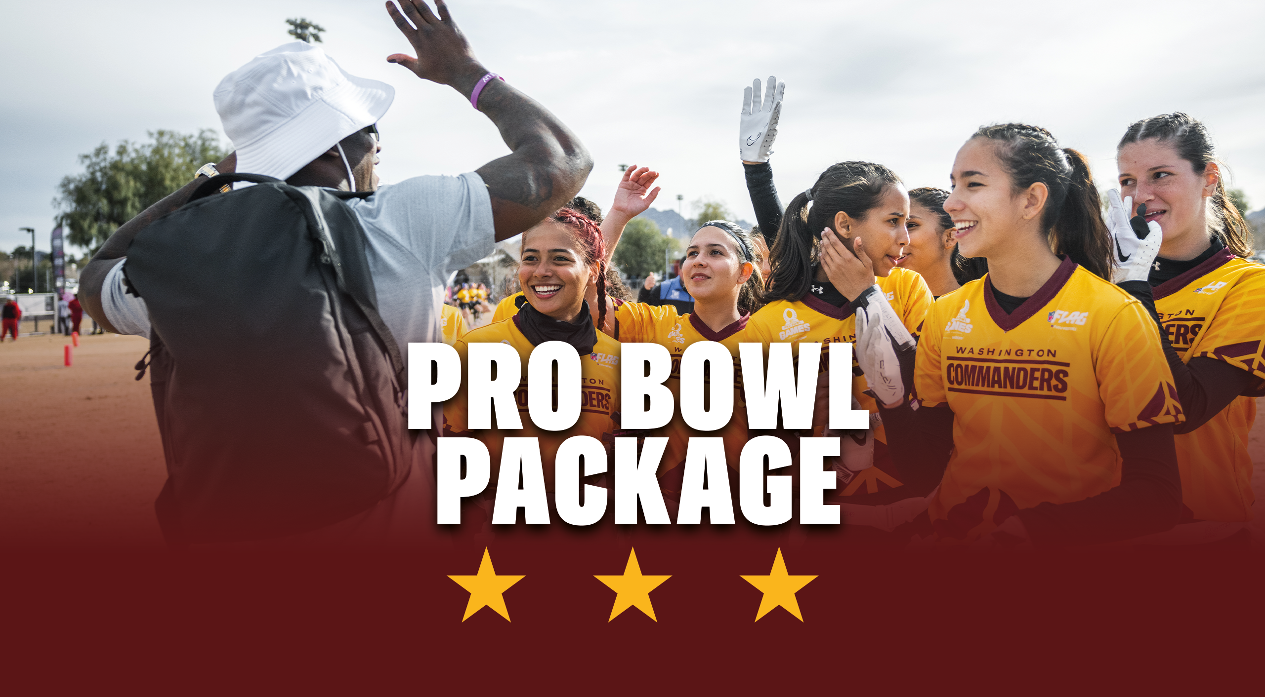 Pro-Bowl Package (100 - 500 tickets)