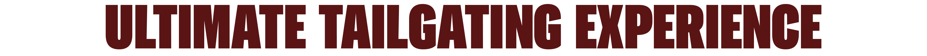 Ultimate Tailgating Experience