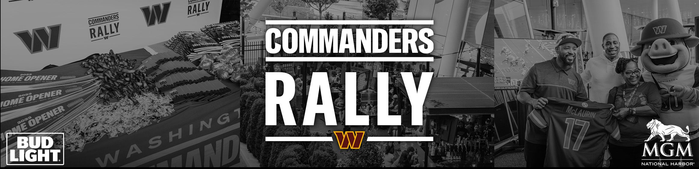 Rally Website Banner