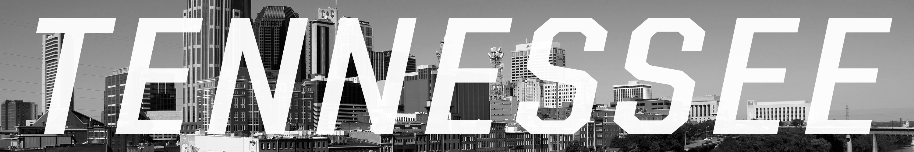 CP-TravelGuide-Skyline-Tennessee-2560x4342-052319