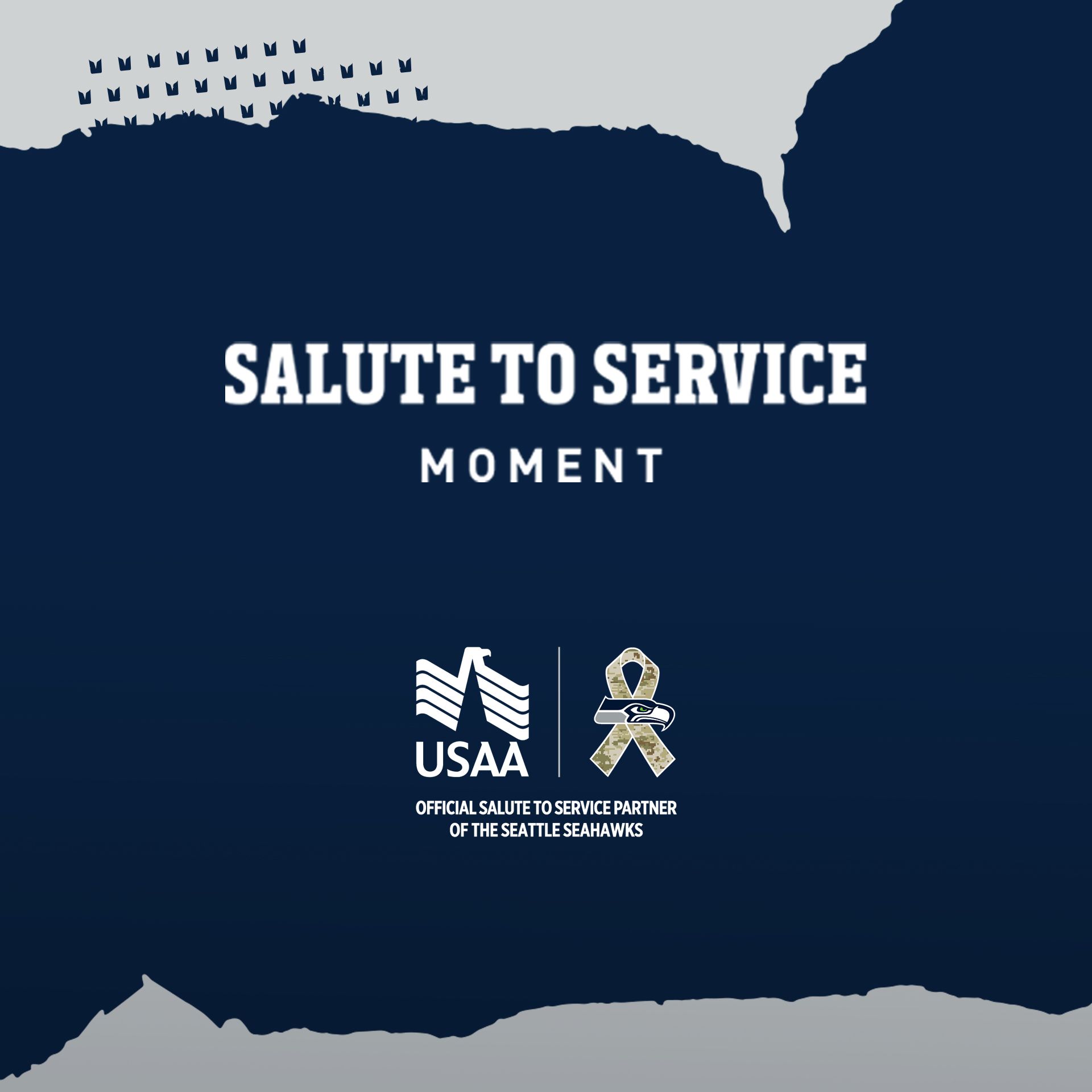 NFL Seattle Seahawks Salute To Service - Honor Veterans And Their