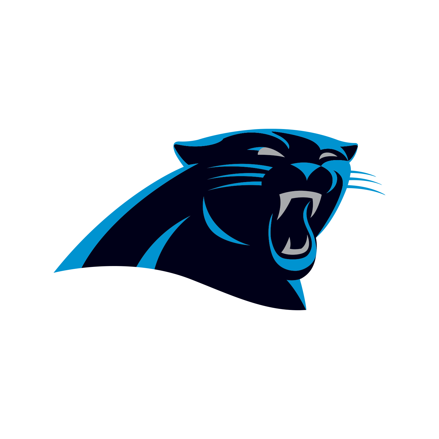 The Panthers Logo