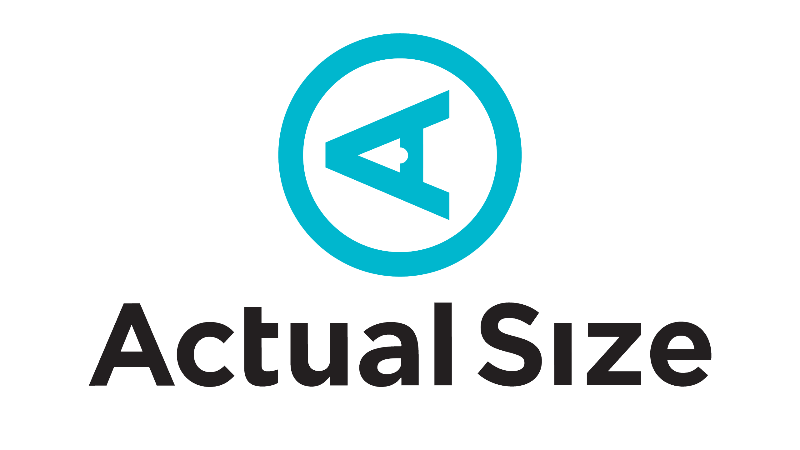 Logo_RSS_2021_Actual_Size