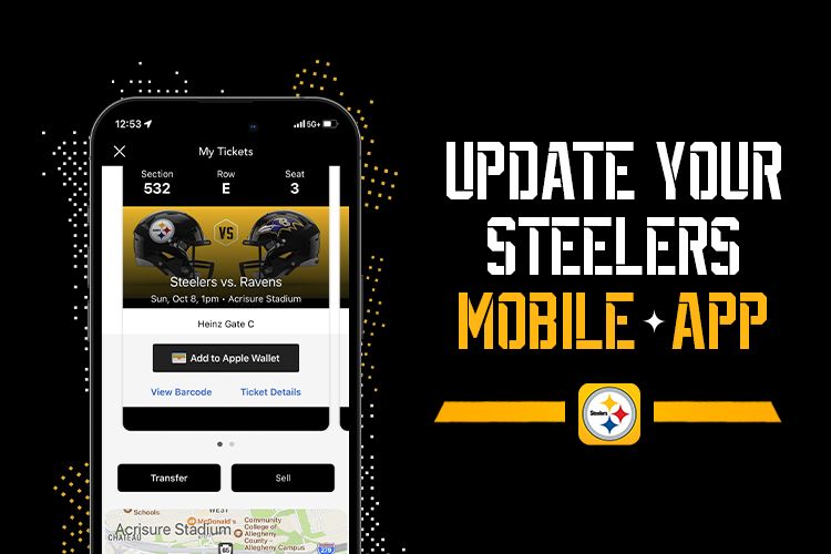 Pittsburgh Steelers Game Ticket Gift Voucher