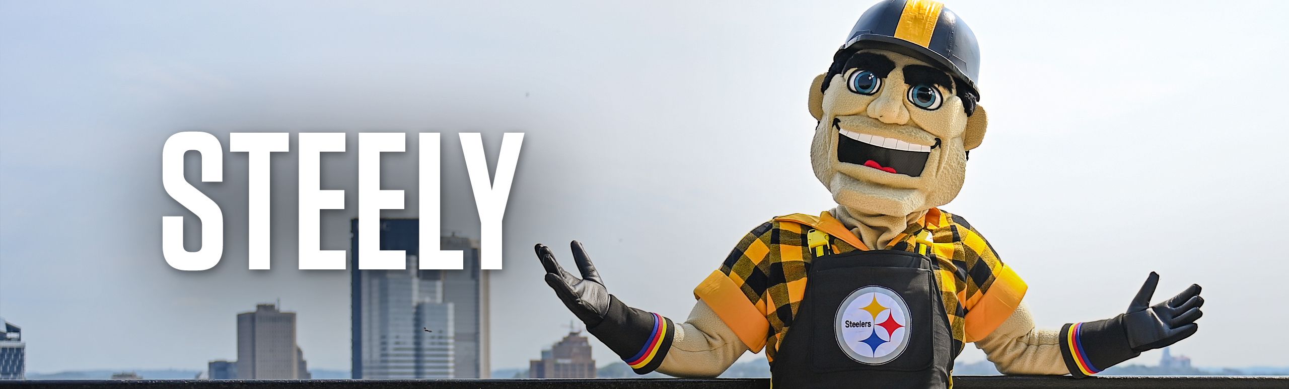 SNU_LP_Banners_Steely_Updated_2023