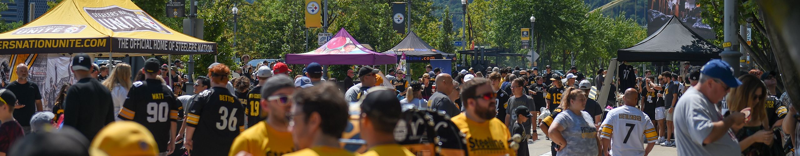 Pittsburgh Steelers Tailgate Cover