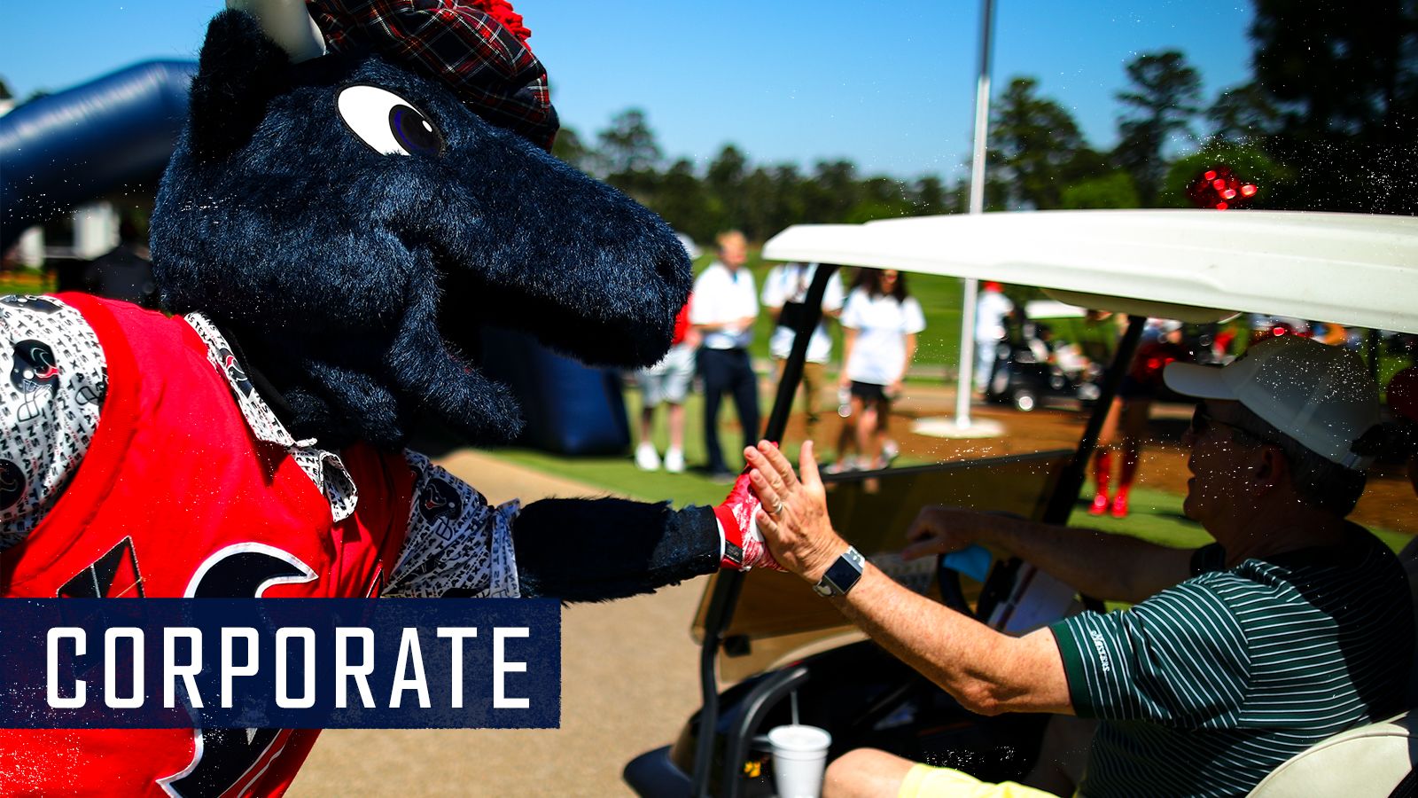 TORO the mascot, former Texans star, fire up students for upcoming STAAR  tests