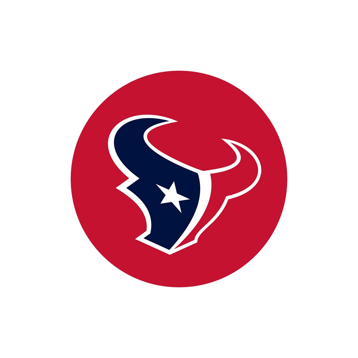 NFL Houston Texans Season Ticket Reliant Stadium Holder Forever Collectible  New