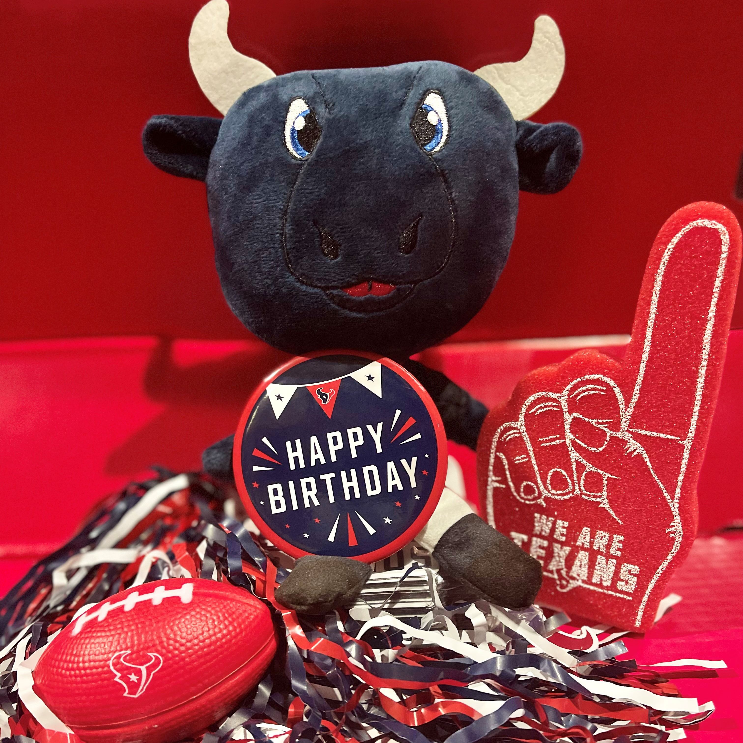 Houston Texans Gameday Experience Guide - SimpleSeats Blog