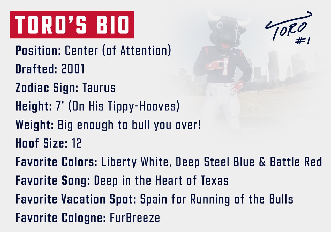 TORO Houston Texans