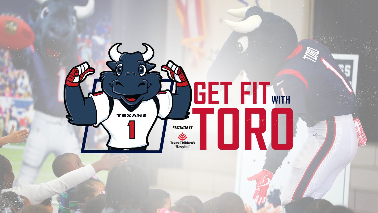 TORO Houston Texans