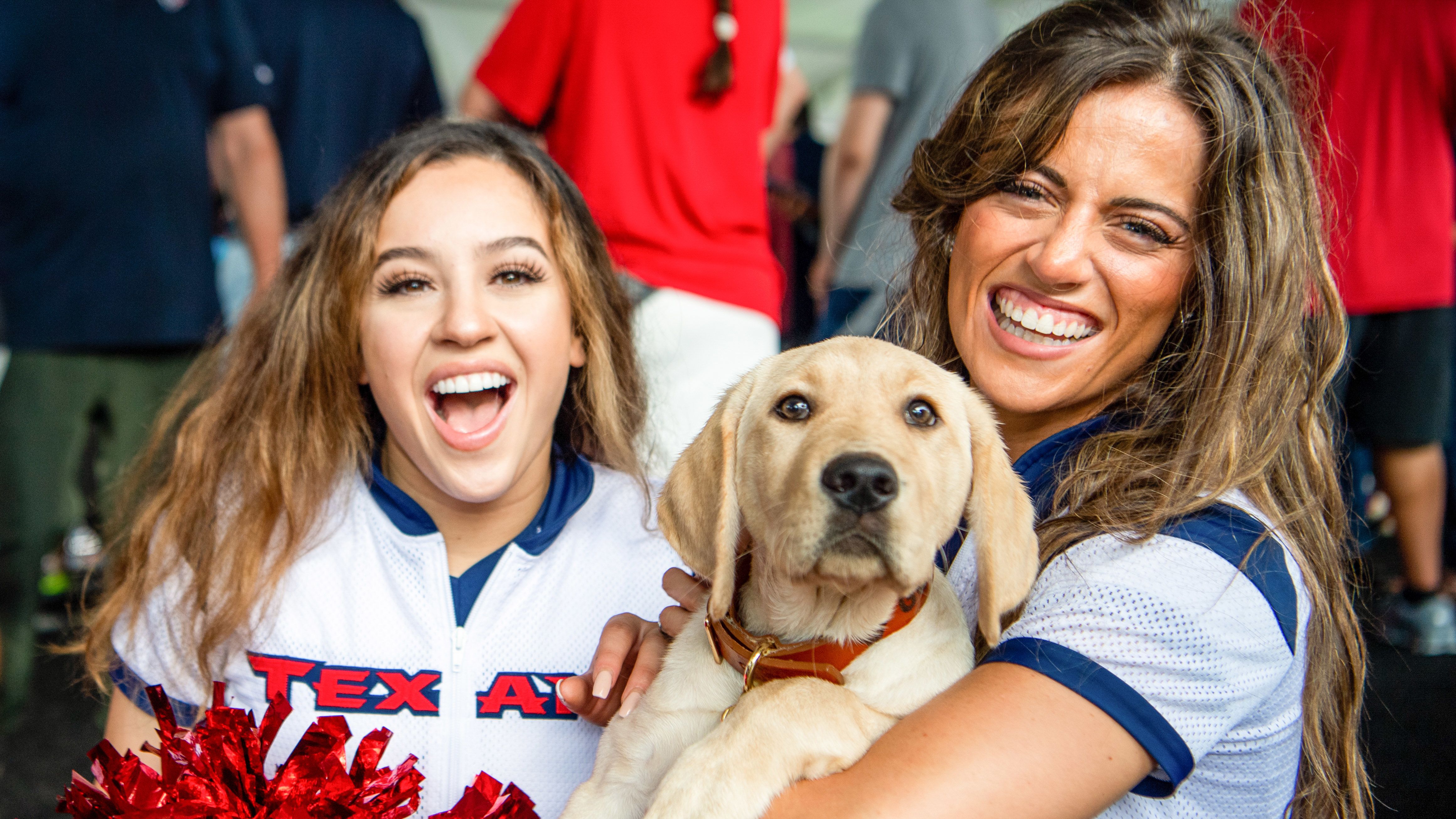 Texans' new concessions stand snacks include cracklins and queso