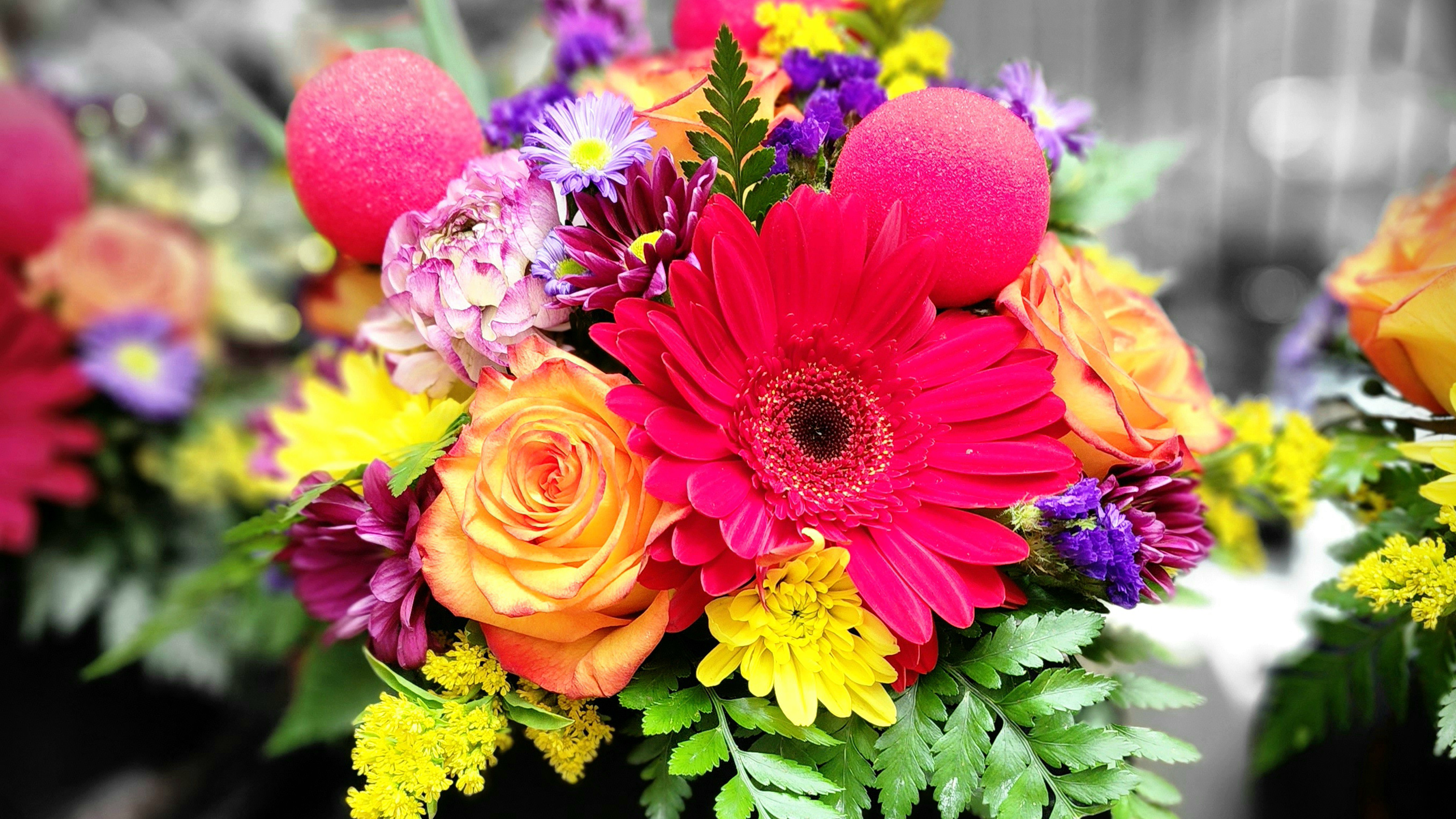 Katy House of Flowers