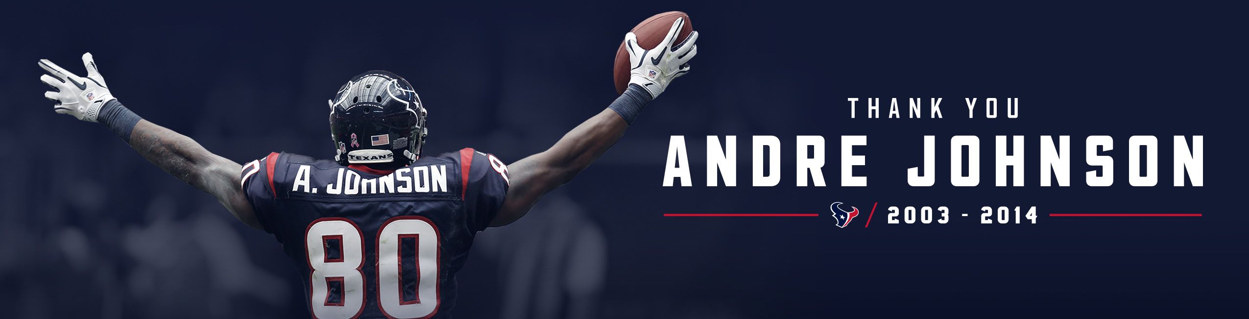 Houston Texans wide receiver Andre Johnson wears Play 60