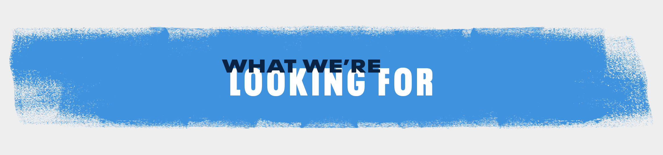 what-we're-looking-for