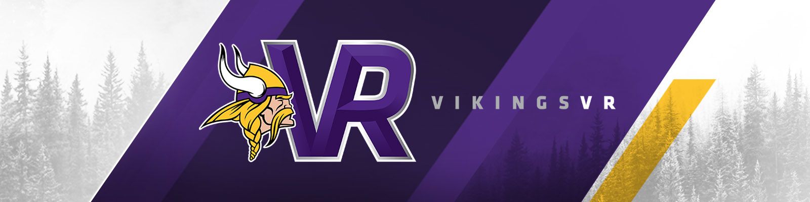 Minnesota Vikings launch VR app in NFL first - SportsPro