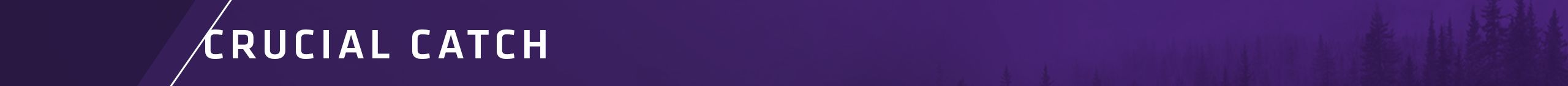 Community-Relations_Crucial-Catch_2560x140