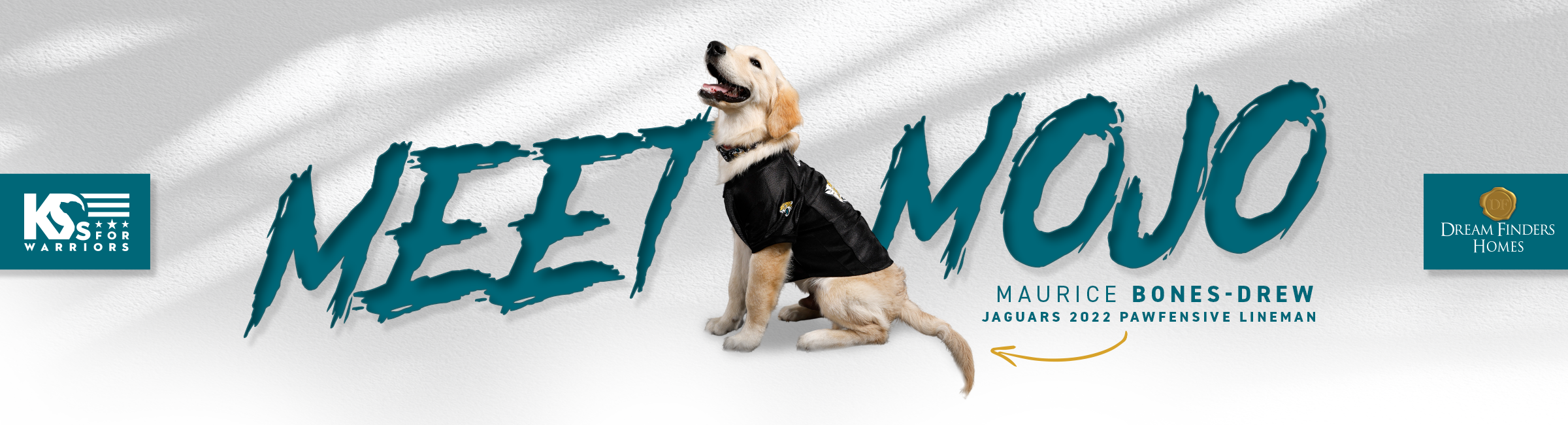 Jaguars Team Jacksonville Jaguars