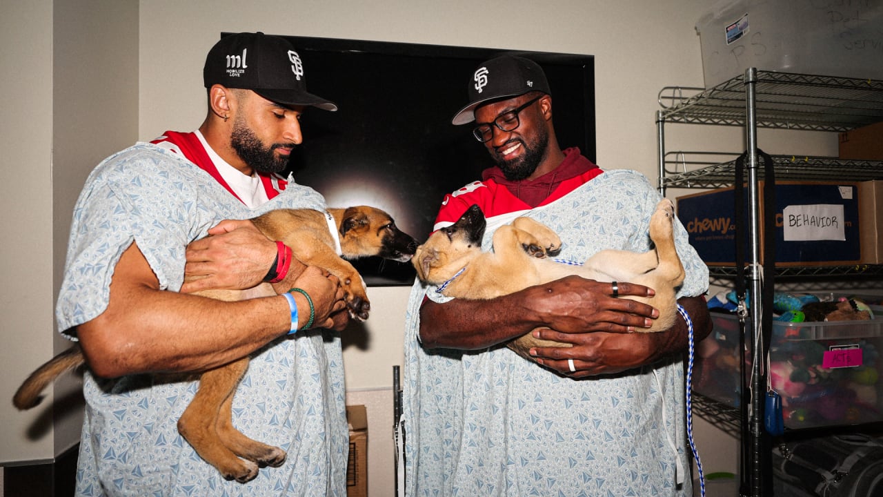 dogs 49ers jerseys｜TikTok Search