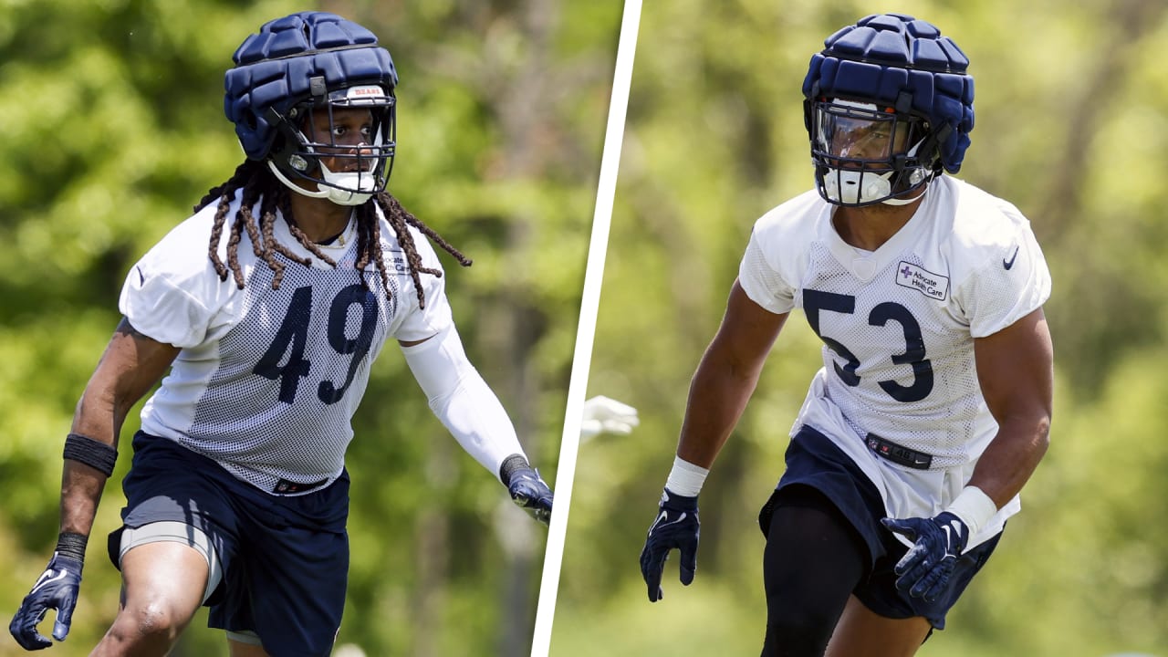 Bears linebackers ranked second best in NFL by PFF BVM Sports