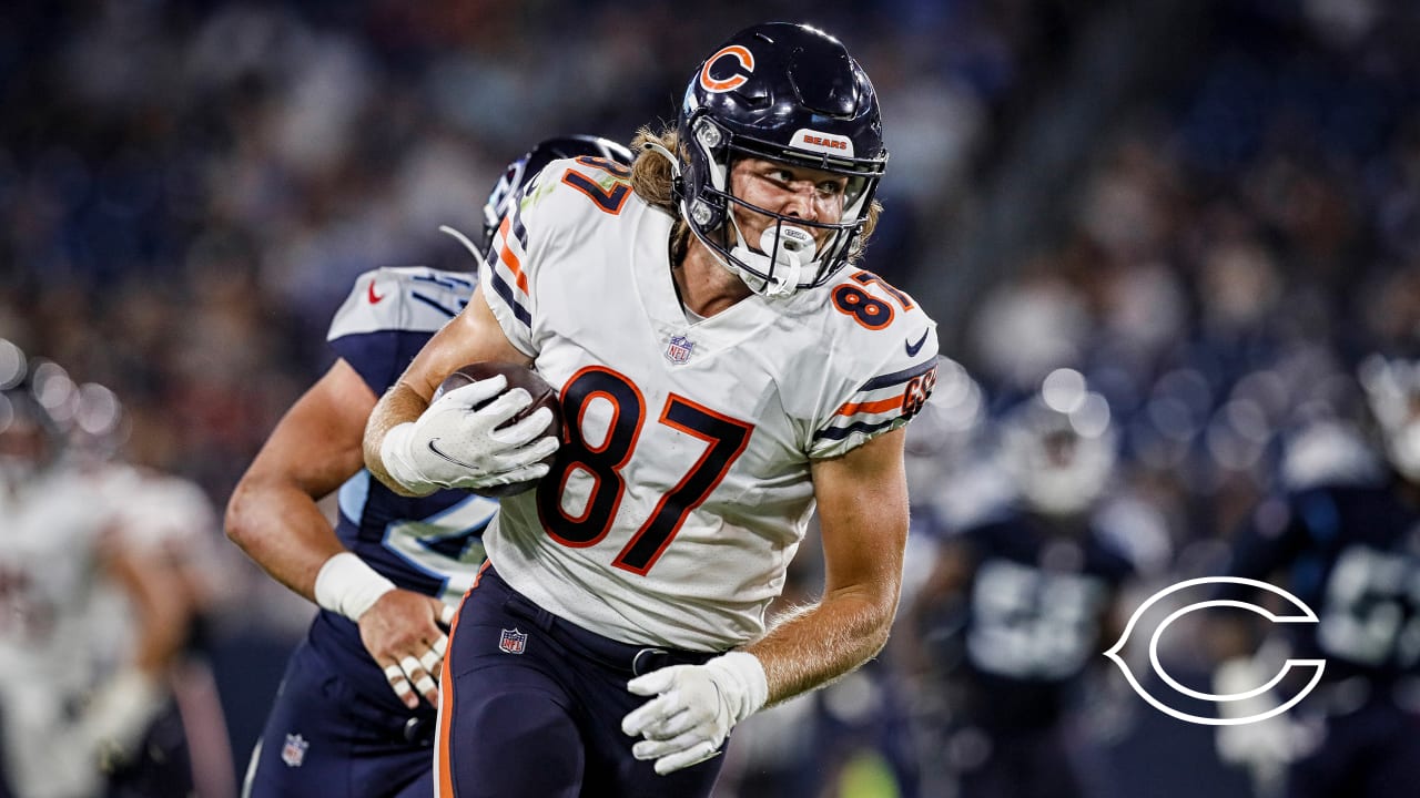 Full list of the Bears' 2022 free agents