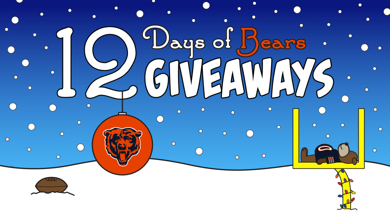 12 days of christmas bears