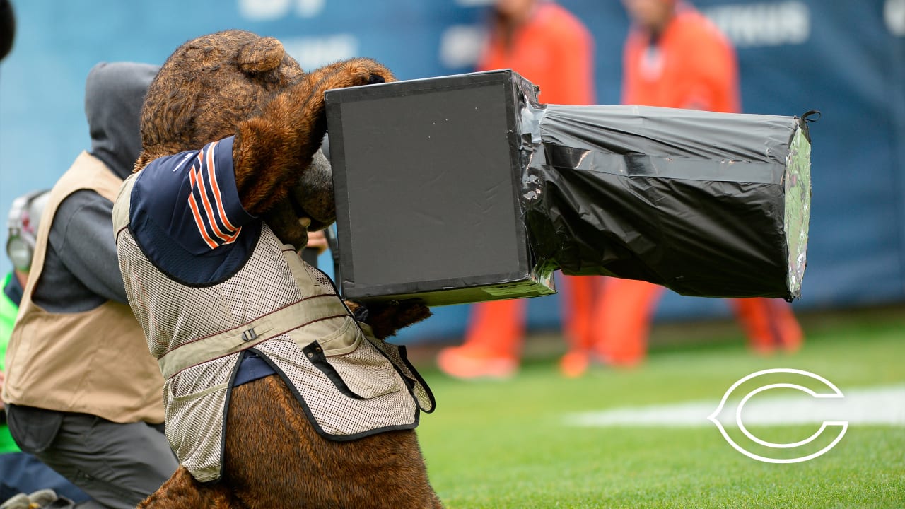 Chicago Bears REV  The Mascot Company