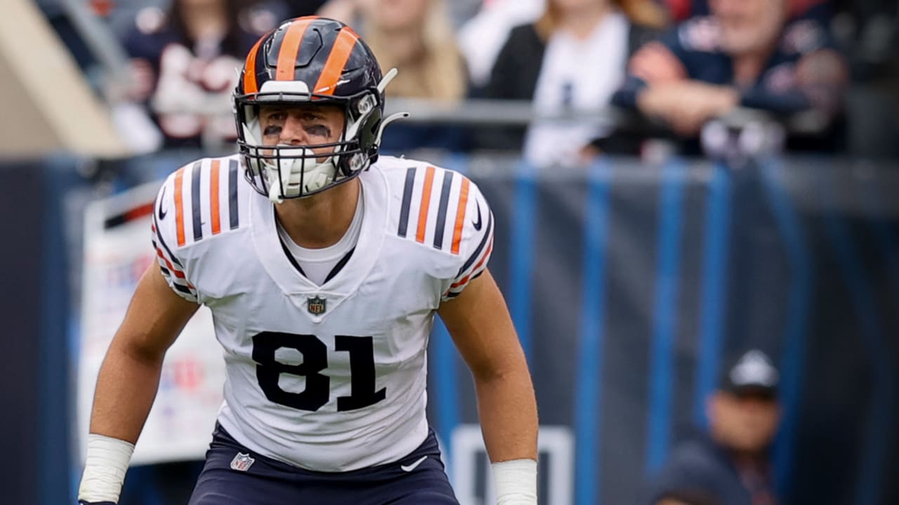 Chicago Bears tight end Jake Tonges (81)warms up before taking on the New  York Giants in an NFL football game Sunday, Oct. 2, 2022, in East  Rutherford, N.J. (AP Photo/Adam Hunger Stock