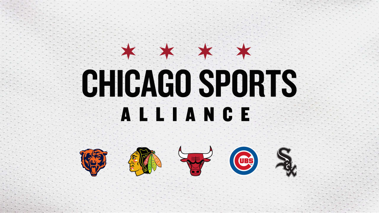 Official skyline Chicago Cubs White Sox Bears Bulls Blackhawks