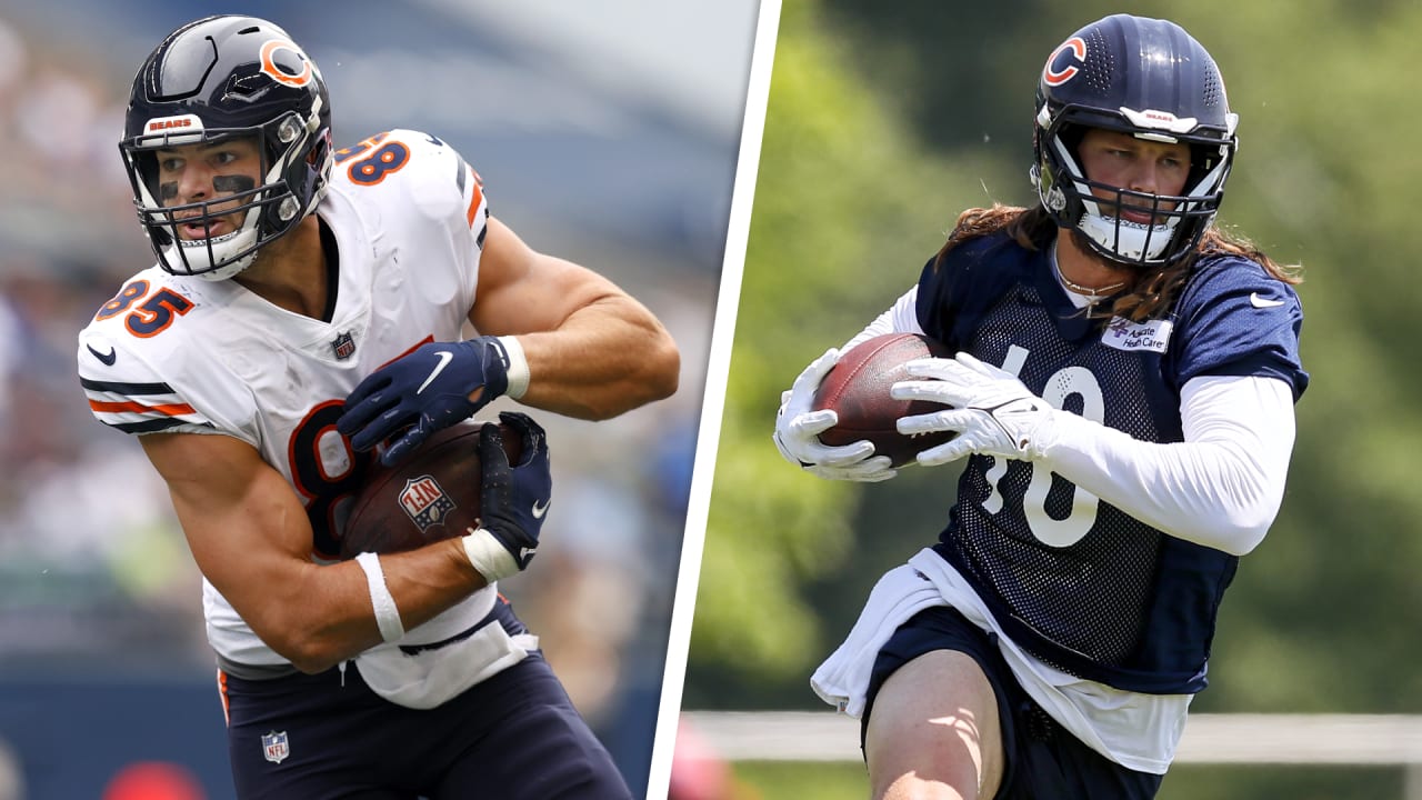 Chicago Bears 2023 position preview Tight end