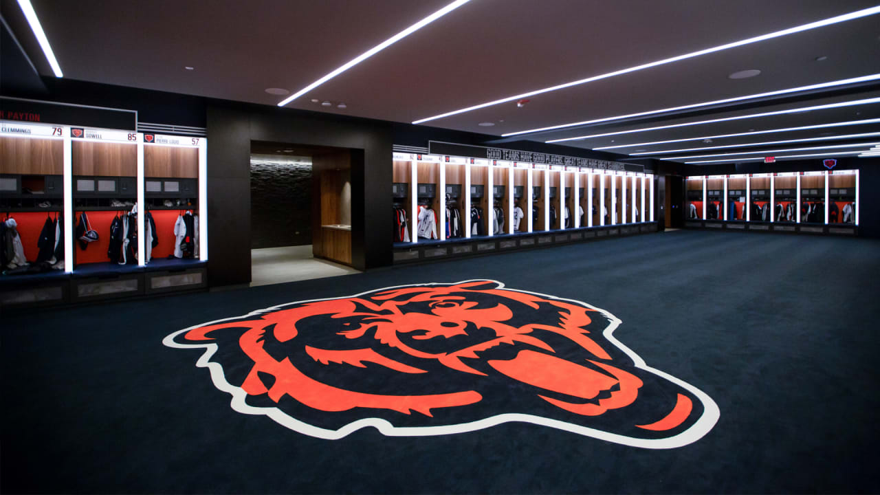 chicago bears field background