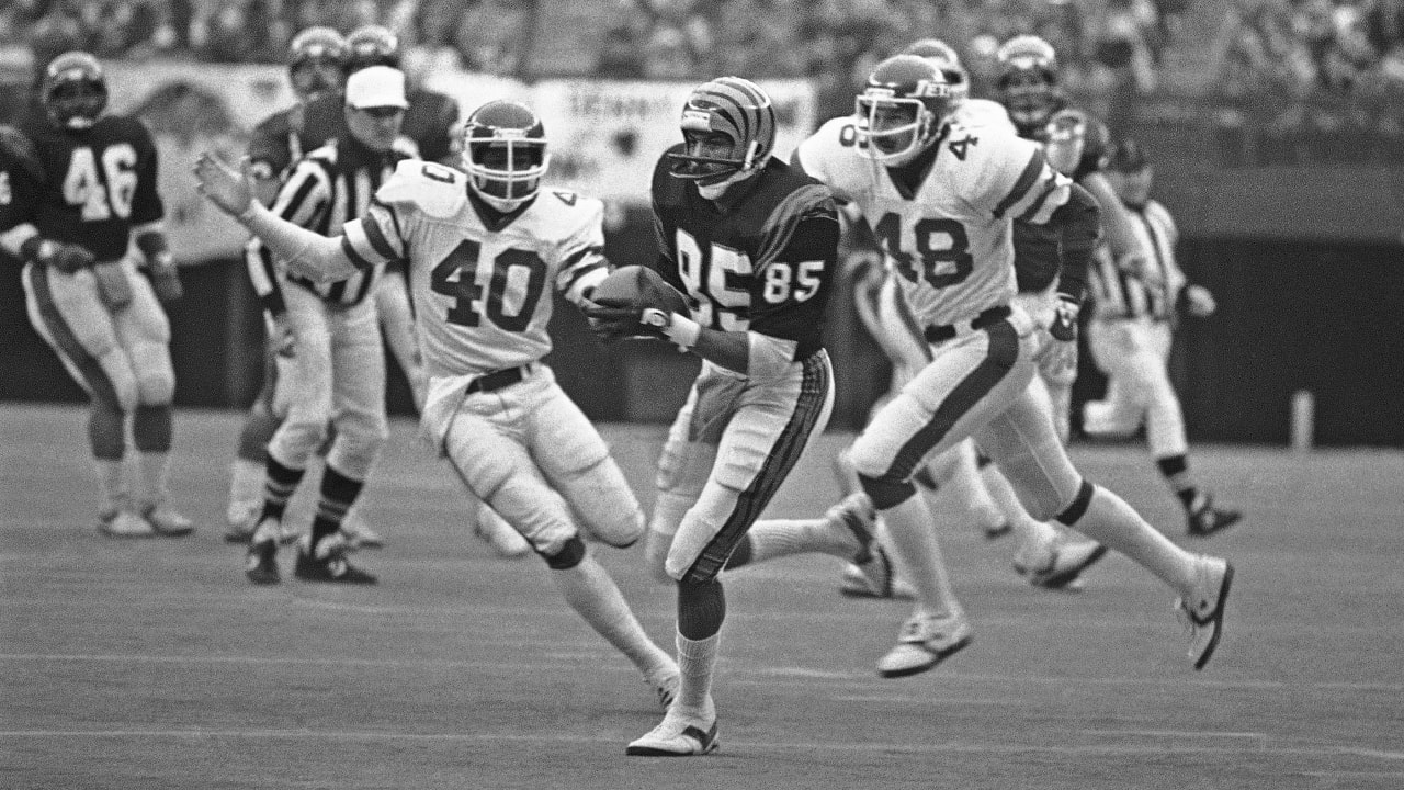 Cincinnati Bengals Gallery - 1981