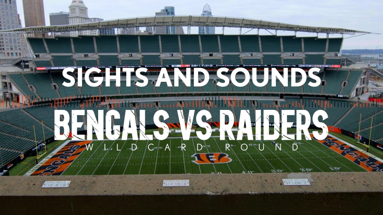 Birds Eye View: Sights & Sounds vs. Raiders 