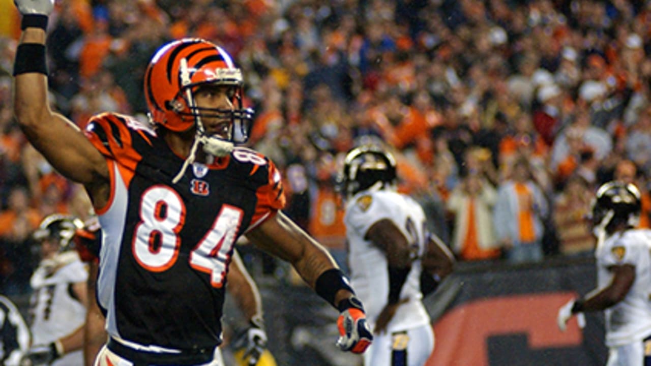 Quick Hits: Bengals Ruler Houshmandzadeh Brings Messages; Max Scouting; Lou  On Lamar