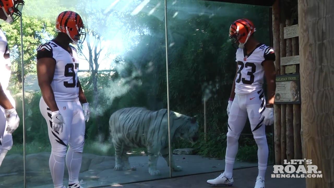 bengals white tiger jersey