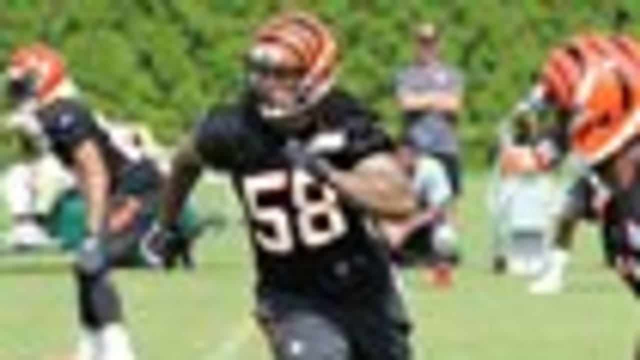 Rey Maualuga is Bengals' most overrated, says USA Today