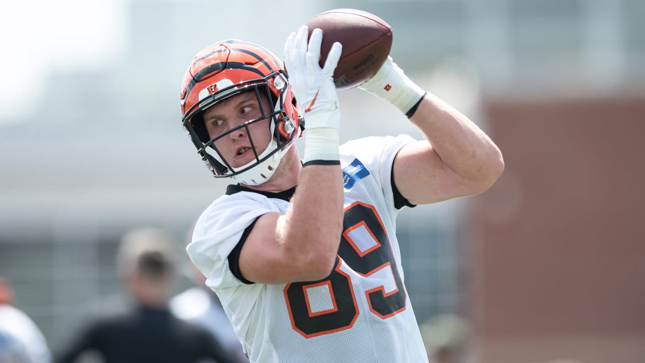 Cincinnati Bengals: Drew Sample's Recent Quote Highlights Why Joe