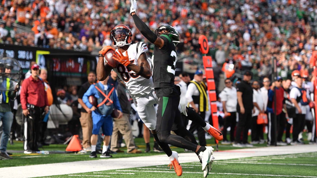 Tee Higgins Every Catch  Week 11 Bengals Highlights vs. Pittsburgh Steelers