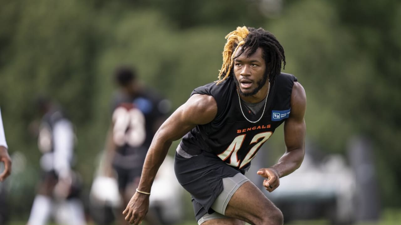 Adam Jones and Chris Henry Jr. attend Bengals training camp