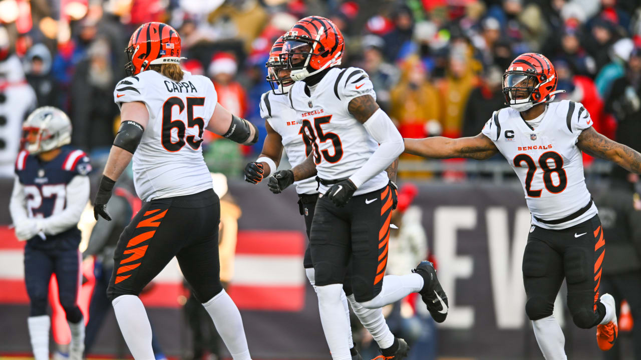 Watch: Tee Higgins' amazing catch against Ravens sets up Bengals' TD