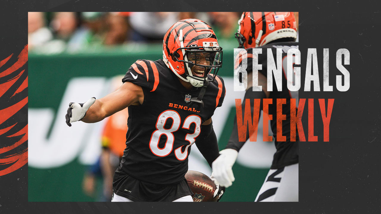 Bengals vs Bills 2022: Preview, injury updates, odds, scores, highlights  for NFL Week 17 - Cincy Jungle