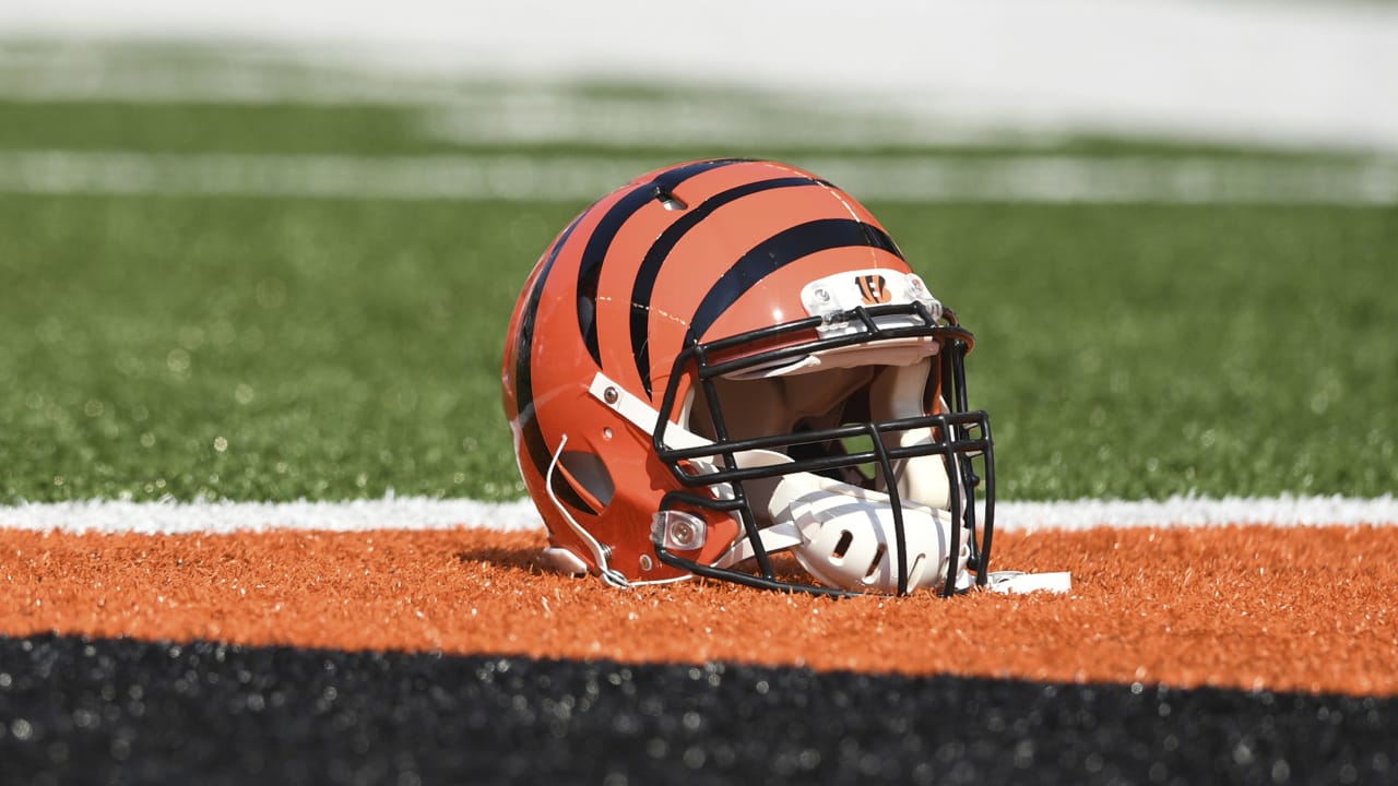 Cincinnati Bengals Football Helmet Shaped Puzzle – Sports Fanz