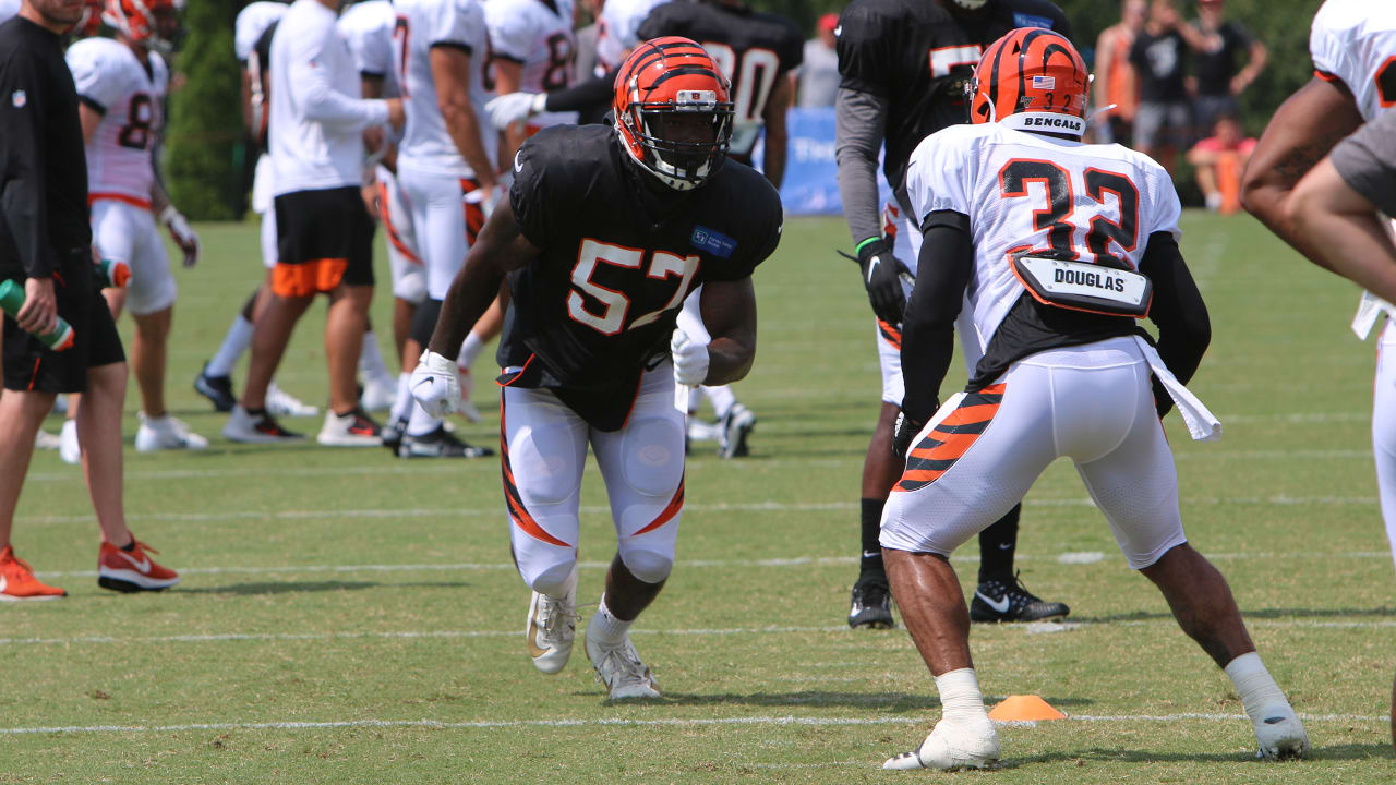 The Cincinnati Bengals continued to revamp its defense after the release of  B.W. Webb