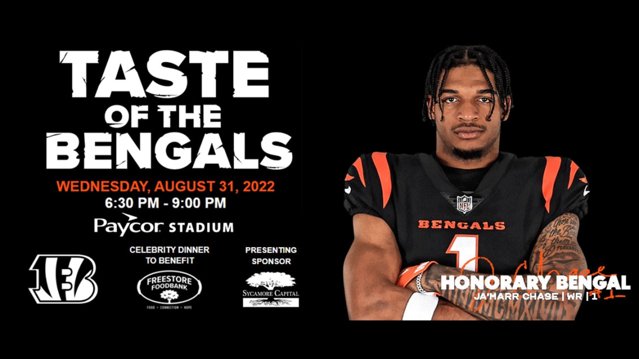 Cincinnati Bengals games: What's new this year? Jungle Zone, new food