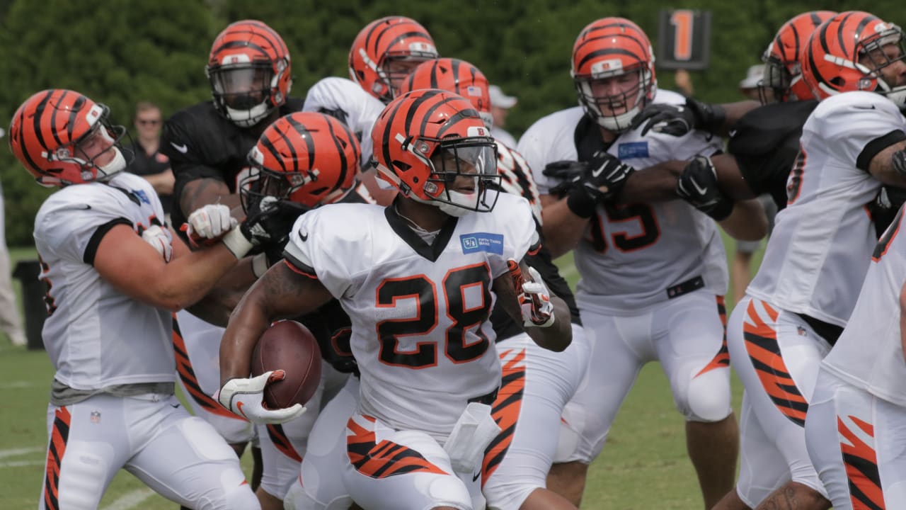 Assisting single-parent families is a personal passion for Bengals' Jessie  Bates